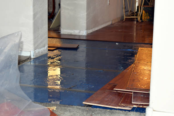 Professional Burst Pipe Cleanup technician working in Long Valley, NJ